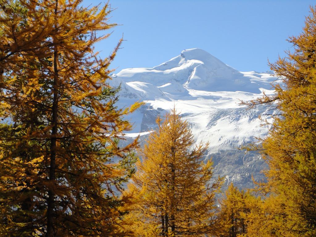 Haus Holiday Saas-Fee Ruang foto