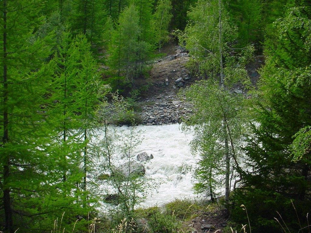 Haus Holiday Saas-Fee Ruang foto