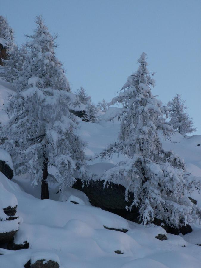 Haus Holiday Saas-Fee Bagian luar foto