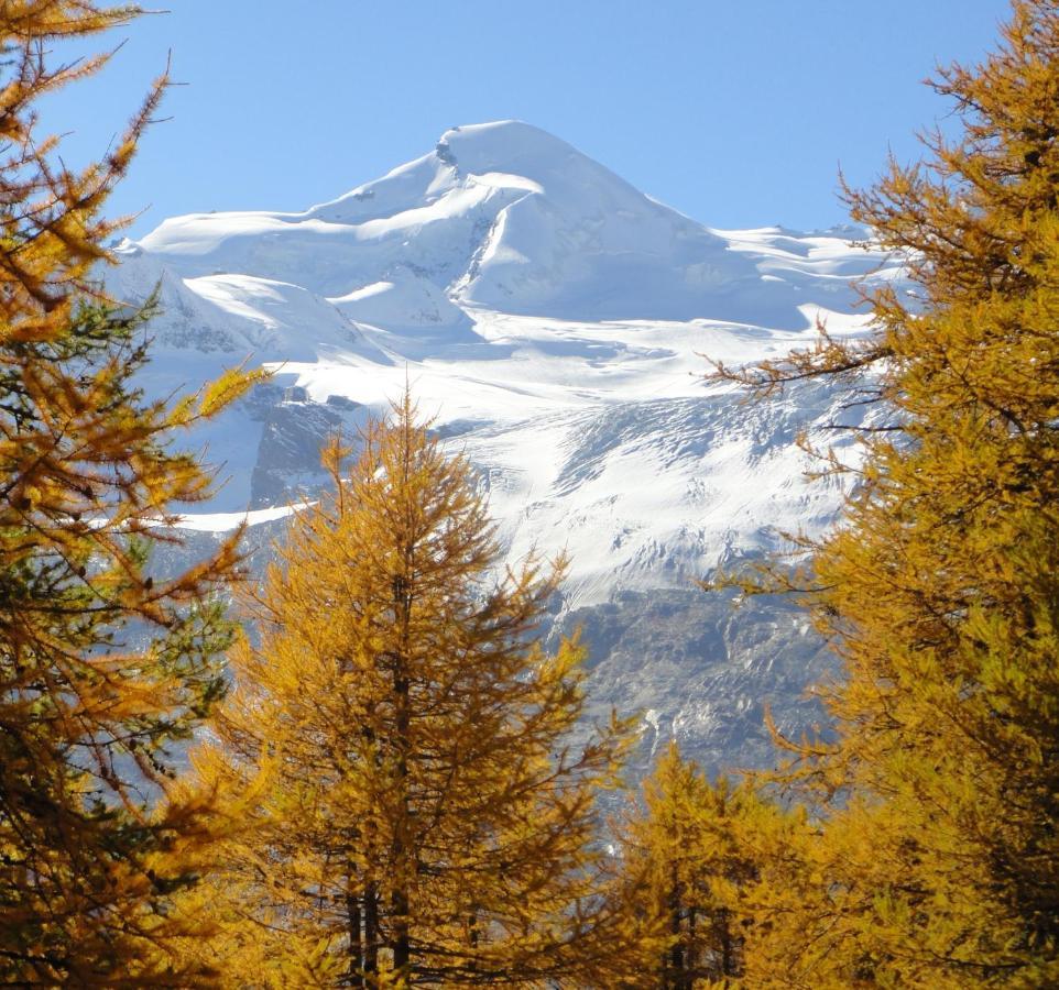 Haus Holiday Saas-Fee Bagian luar foto